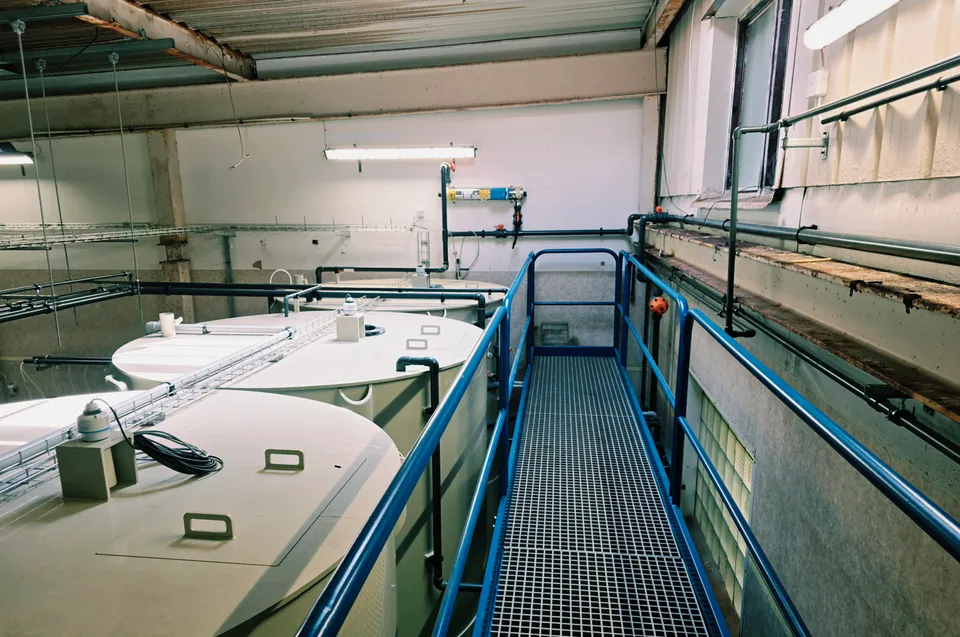 Blå räcken och gallerdurksgång längs processtankarnas ovansida